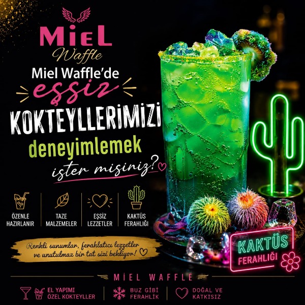 MİEL KAKTÜS